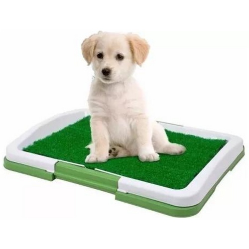 Baño sanitario con pasto para perros