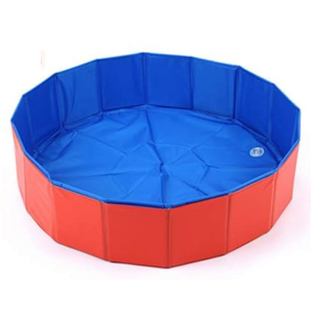 Piscina plegable para perros