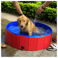 Perro en piscina plegable