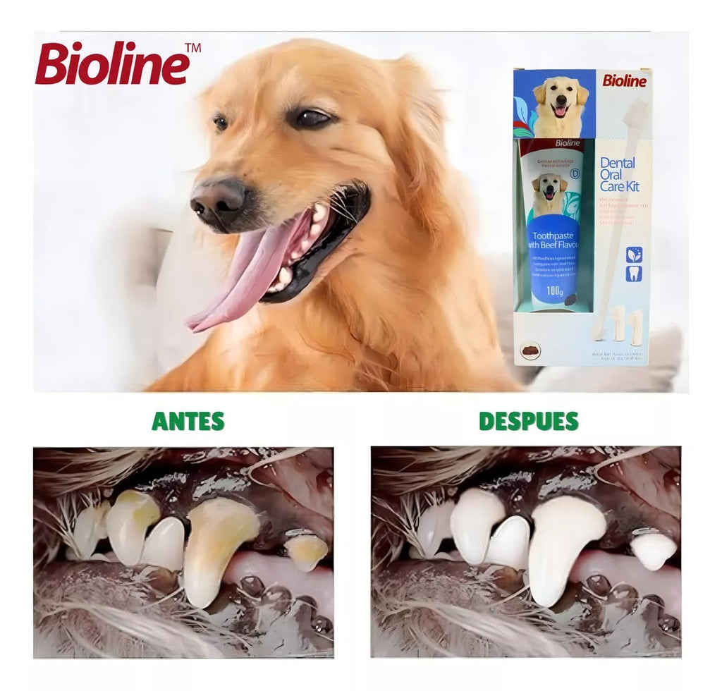 Cepillo dental para perros