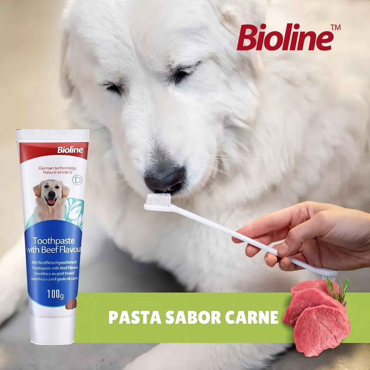 Set dental Bioline para perros