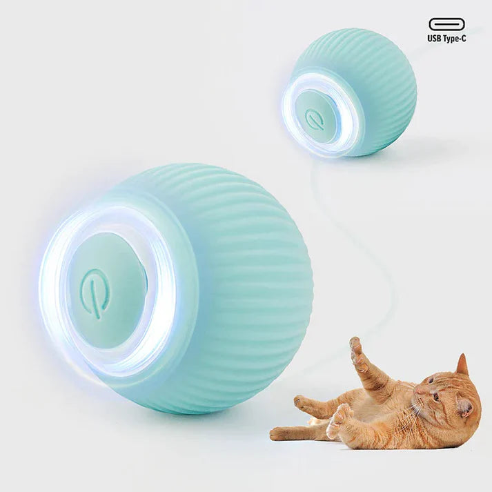 Gato jugando con pelota inteligente