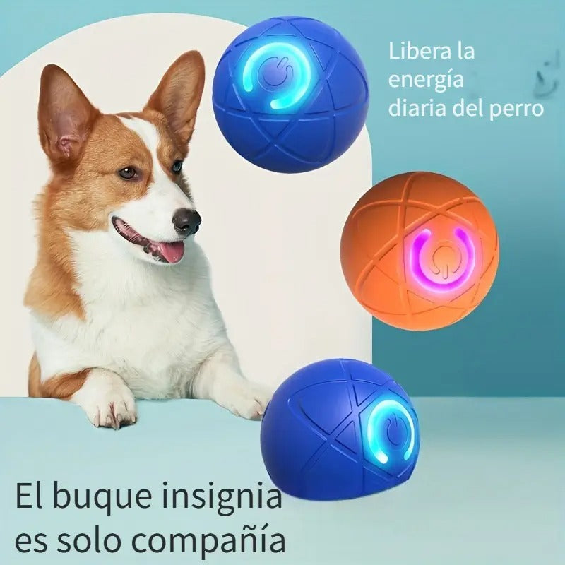 Pelota saltarina para perros