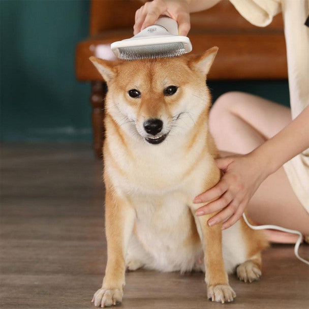 Cepillo secador para perros